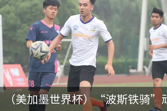 （美加墨世界杯）“波斯铁骑”顽强两连平 伊朗队期待更进一步